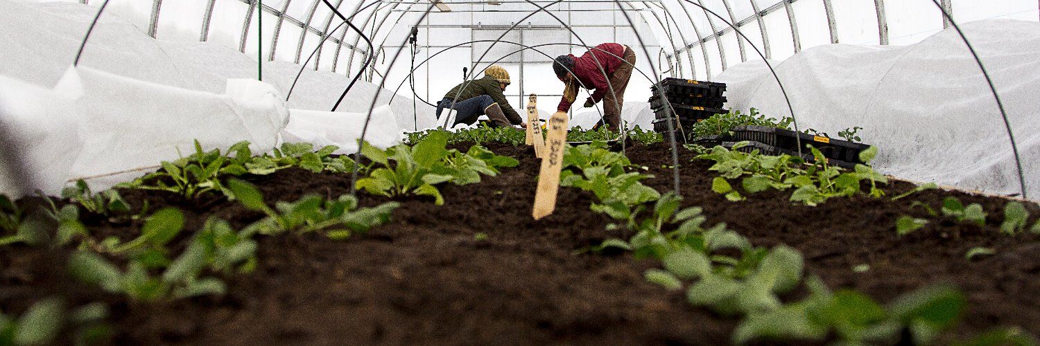High Mowing Organic Seeds Banner