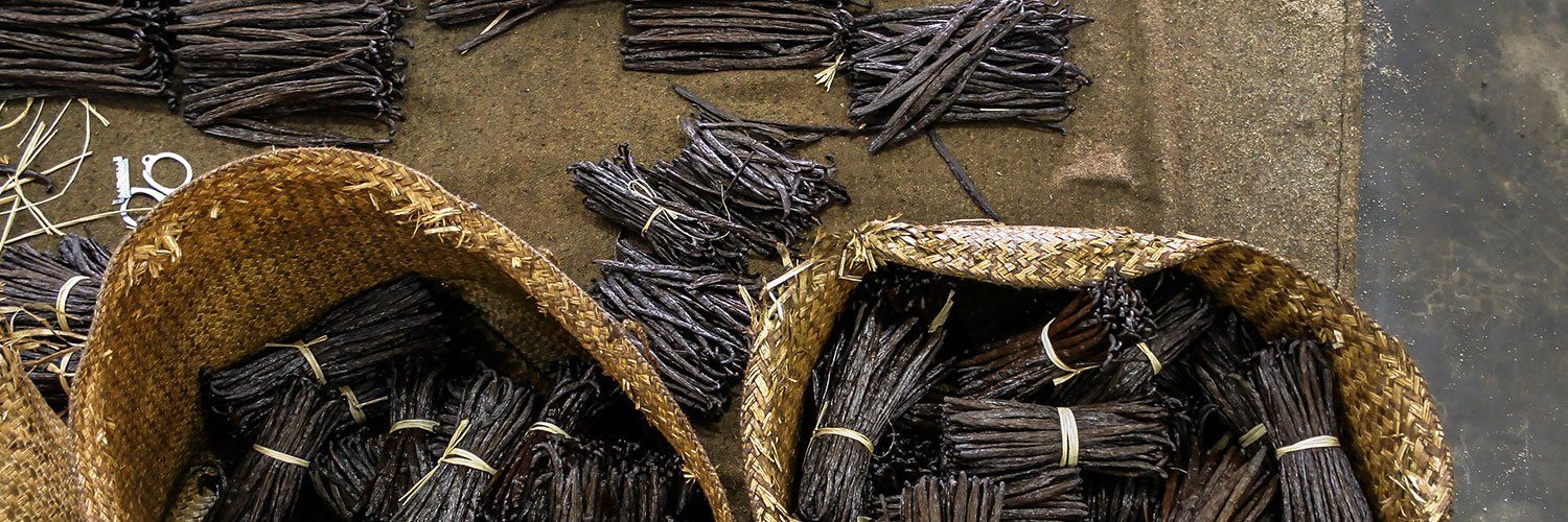 Native Vanilla Banner