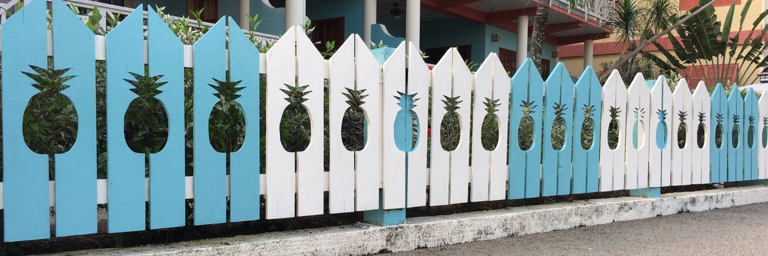 Tropical Bros Banner