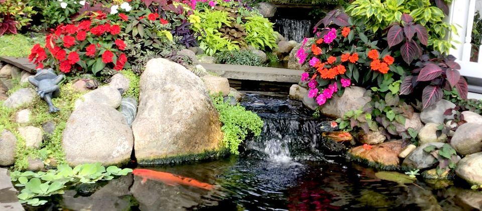 Webb's Water Gardens Banner