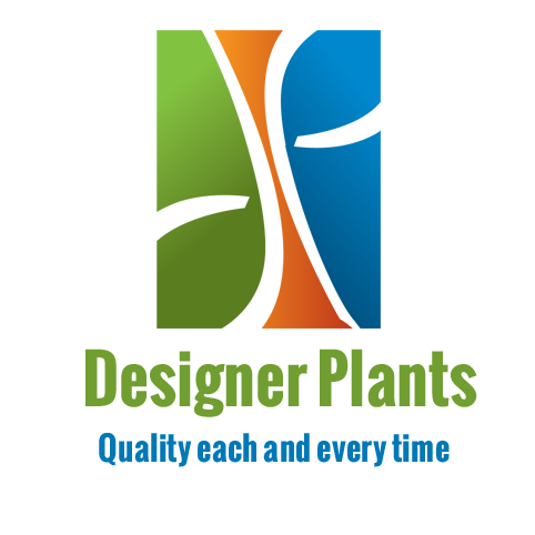 Designer plants Logo