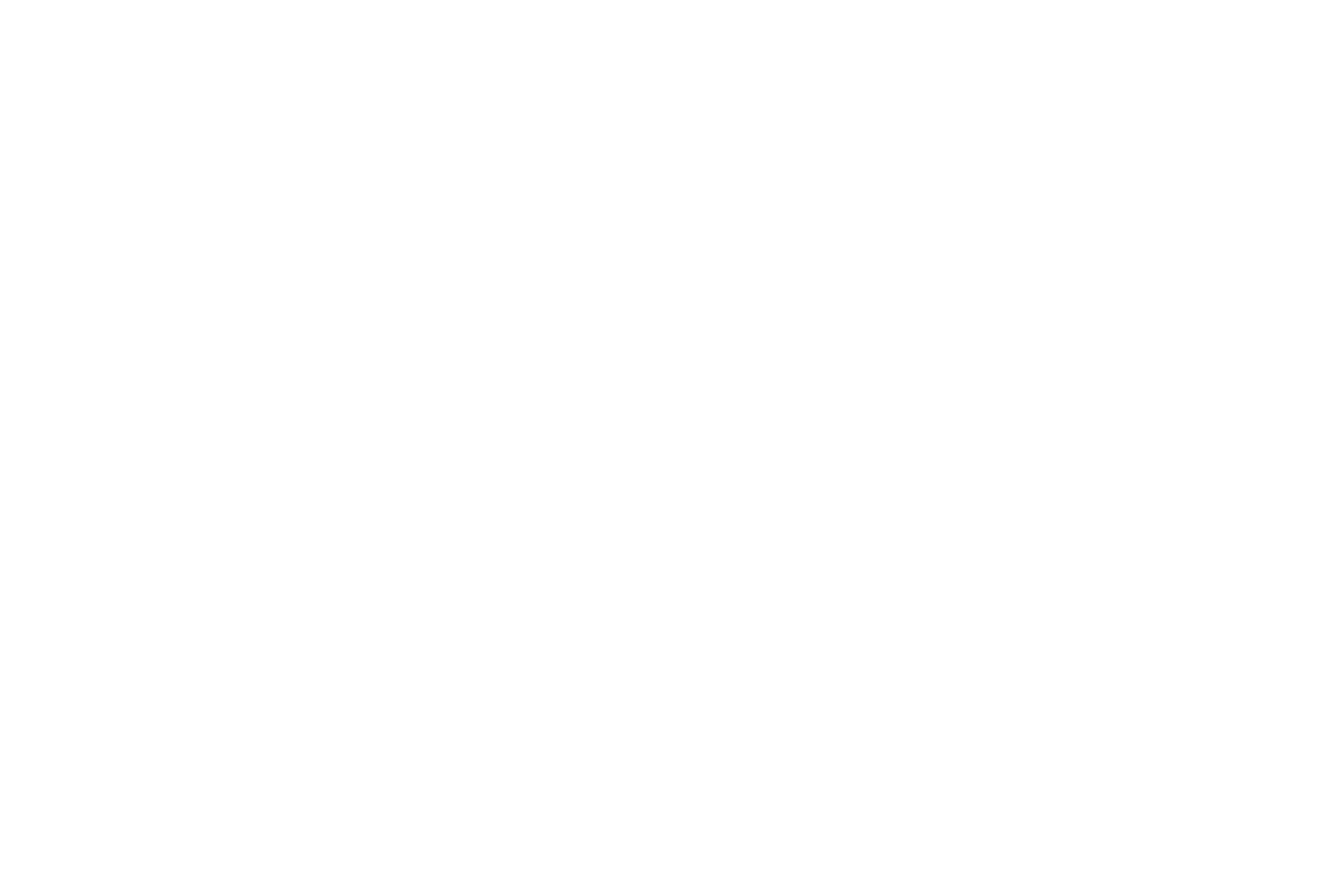 Earth and Moon Logo